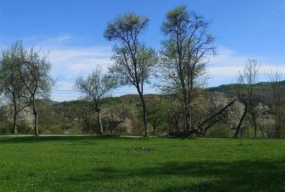 Teren Intravilan  in Luncoiu de Jos, Jd Hunedoara - 8