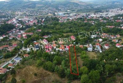 Casa batraneasca + 1462 mp teren de vanzare in Curtea de Arge?. - 3