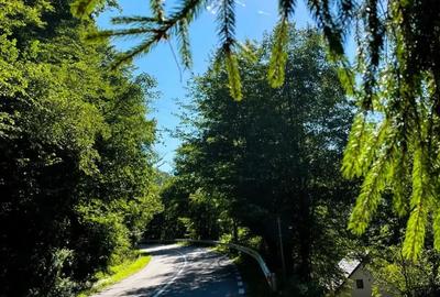 Casă cu 4 camere în Central - 4