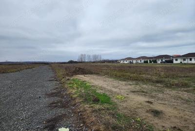 Teren de 530 mp, în Bucovăț (Remetea Mare) - 1