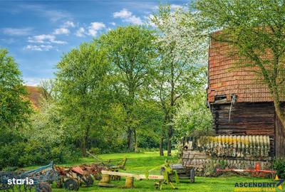 Teren de 4831 mp, în Boroșneu Mare - 2