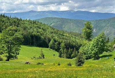 Teren în Central - 5