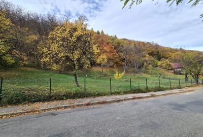 Teren de 1214 mp, în Câmpulung Muscel - 6