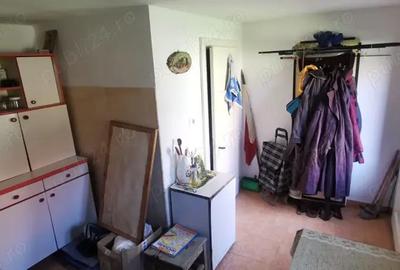 Casă cu 2 camere în Sebiș - 5