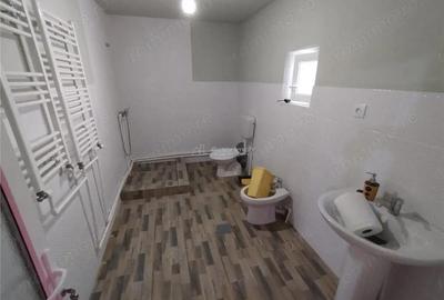 Casă cu Teren 1151 Mp în Oravița - 5