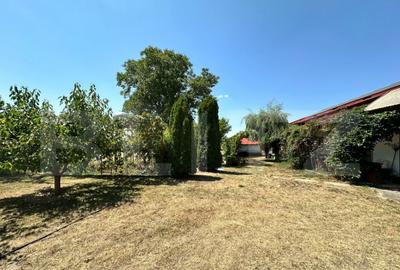 Casă cu 7 camere cu Teren 17000 Mp în Central - 4