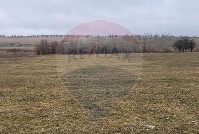 Teren de 2592 mp, în Lipoveni - 2