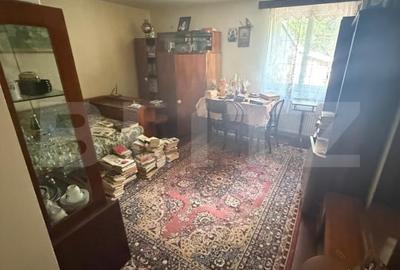 Casa cu etaj, 160 mp utili, 1352 mp teren, zona Burdujeni - 17