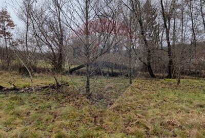 Teren 2,932mp Sarbi (Budesti) / Drumul Principal - 5