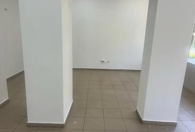 Spațiu comercial, de 50 mp, în Calea București - 3