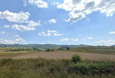 Cota 1/4 teren extravilan Dalboset, jud. Caras Severin - ... - 2