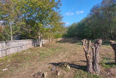 Teren de 7000 mp, în Drăgoești - 2