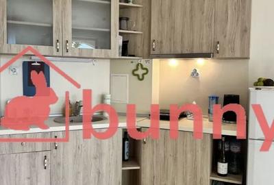 Garsonieră în Tei - 3