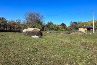 Teren de 2500 mp, în Gura Vitioarei - 5