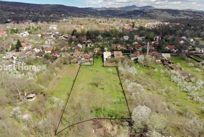 Teren de 4898 mp, în Cornu - 7