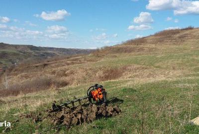 Teren de 60000 mp, în Ștefănești - 2