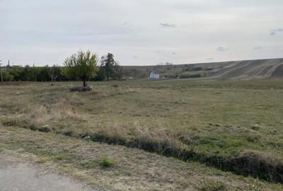 Teren agricol extravilan de 5000 mp, în Malu Mare - 2