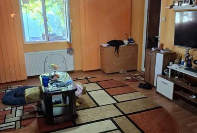 Casă cu 3 camere cu Teren 200 Mp în Chitila - 2