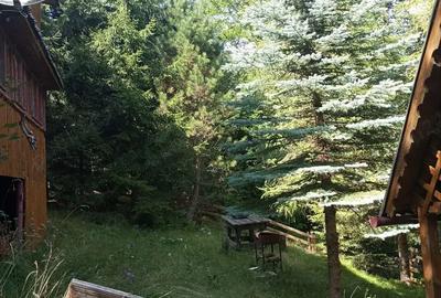 Casă cu 4 camere în Muntele Băișorii - 1