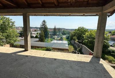 Spațiu industrial, de 600 mp, în Calea Timișoarei - 3