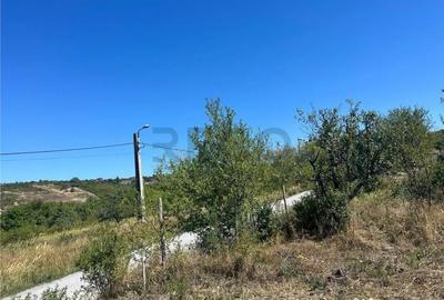Teren de 4251 mp, în Dealuri Oradea - 3