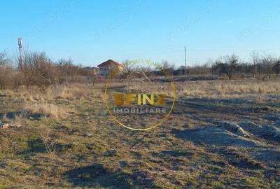 TEREN INTRAVILAN BRAGADIRU 5000mp| SOSEAUA ALEXANDRIEI | DESCHIDERE LA 2 STRAZI - 6