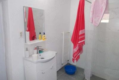 Casa, Sanandrei, 2 camere, teren 1340mp, gradina pomi, asfalt, utilitati, centrala gaz - 11