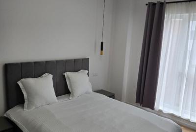 Apartament in regim hotelier Baia Mare - 9