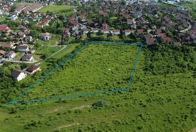 Teren Construcții intravilan de 17200 mp, în Livezeni