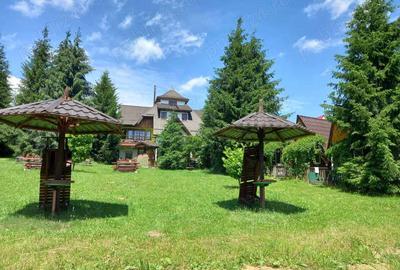 Casă cu 6 camere cu Teren 6060 Mp în Căsoi - 6