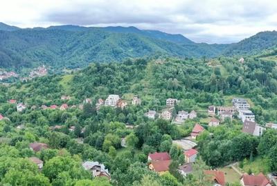 Teren de 2700 mp, în Drumul Poienii