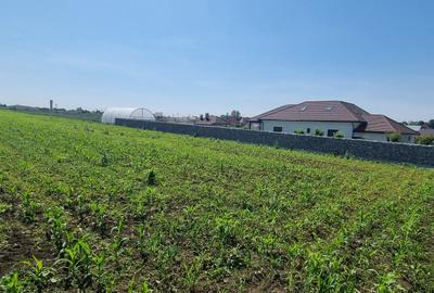 Teren Construcții intravilan de 10000 mp, în Cătămărești-Deal