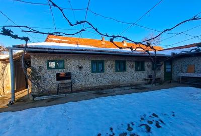 Casă cu 4 camere cu Teren 3404 Mp în Răchita - 4