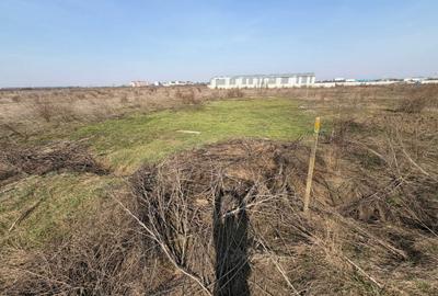 Spațiu comercial, în Odăile - 6