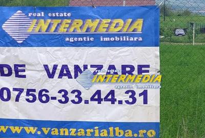 Casă cu 1 camere cu Teren 900 Mp în Lunca Ampoiței - 1