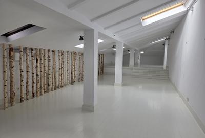 Vila interbelica de inchiriat/pretabila activitati comerciale/Victoriei - 16