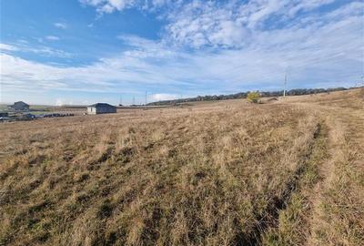 Teren intravilan de 1300 mp, în Sâncraiu de Mureș - 4