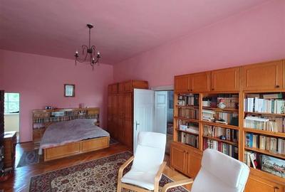 Casa cu aer nobil in Baia de Cris - 4