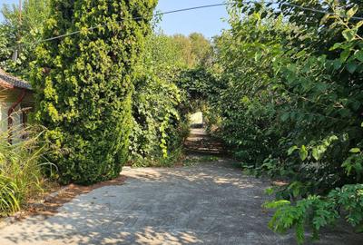 Casă cu 4 camere în Făclia - 8