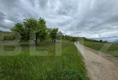 Teren intravilan, 34 ari intravilan, zona Unirea - 7