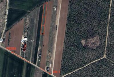 Teren în Săftica - 5