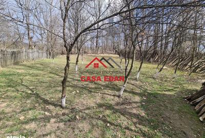 Casă cu 4 camere nedecomandat cu Teren 1005 Mp în Telega - 10