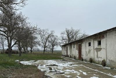 Spațiu industrial, în Ceamurlia de Jos - 12