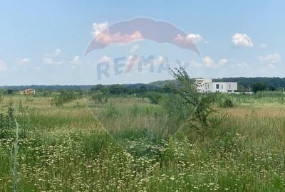DE VANZARE Teren intravilan 600mp Drumul Piscul Mosului SISESTI - 12