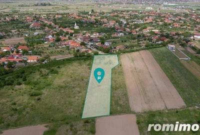 Teren extravilan 5000 mp Urseni, Timi? - 1