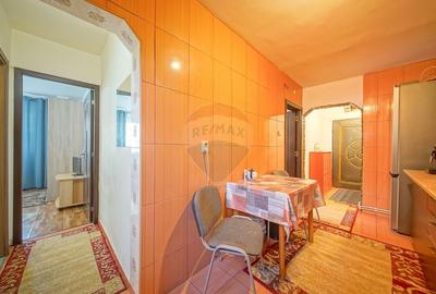 Apartament cu 2 camere circular, mobilat în Noua - 6