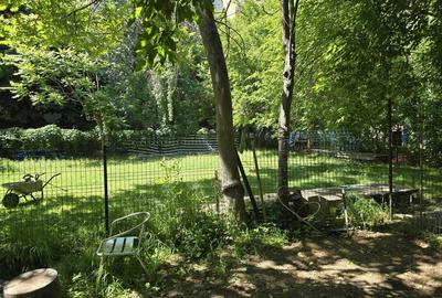 Doamna Ghica Doamna Ghica - 6