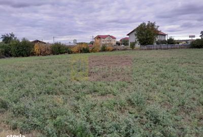 Teren de 2062 mp, în Manasia - 3