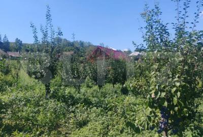 Casă cu 1 camere cu Teren 3000 Mp în Central - 2