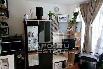 Garsoniera de 16 mp in zona Buziasului renovata - 2
